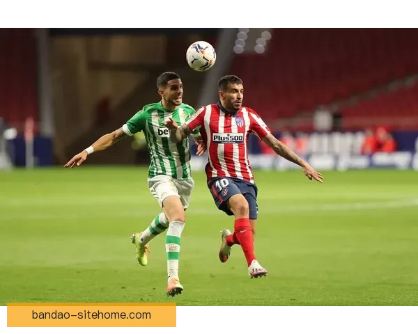 足球竞猜赔率分析与投注策略全解析助您精准预测比赛结果