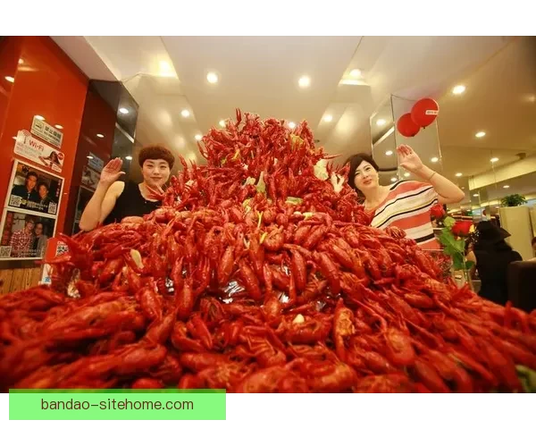 世界杯竞猜福利平台全新上线，丰富奖励等你来拿，轻松畅玩预测赢大奖！