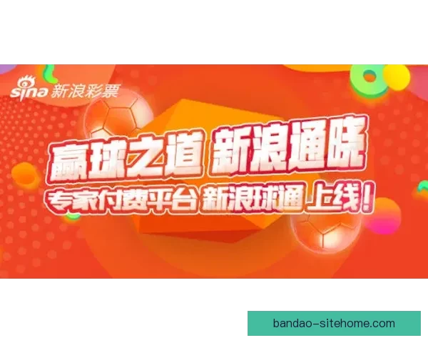 2026世界杯投注网站全攻略：热门平台推荐与投注技巧分析