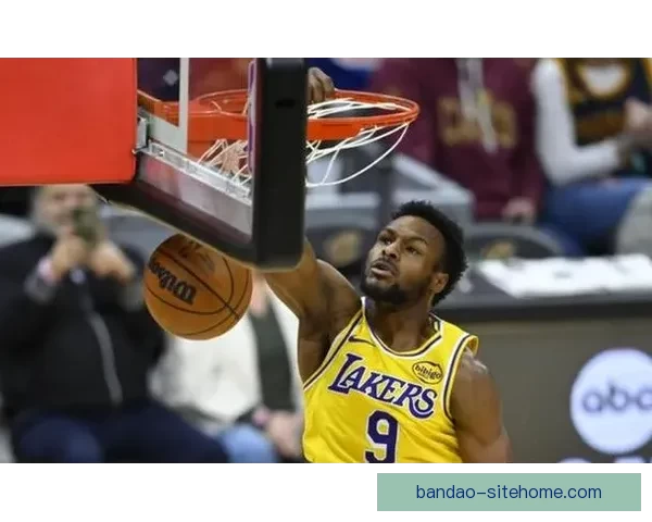 詹姆斯谈与布朗尼单挑意外破坏篮板并转向高尔夫专注棋艺