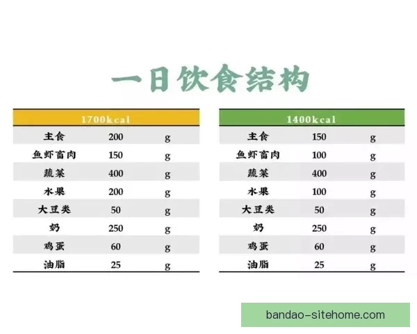 世界杯投注盘口解析与策略深度剖析，助你精准预测赛事结果